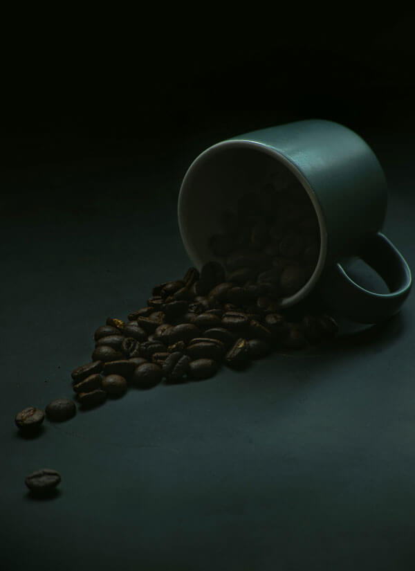 Four Point Grind Cafe